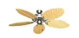 raindace