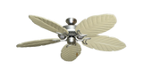 raindace