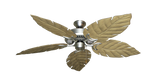 raindace