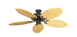 raindace