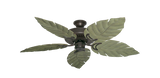 raindace