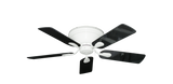 raindace
