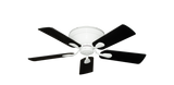 raindace