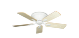 raindace