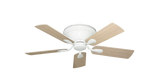 raindace