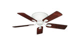raindace