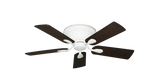 raindace