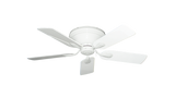 raindace