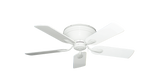 raindace