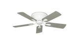 raindace