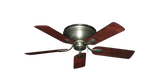 raindace