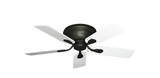 raindace