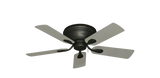raindace