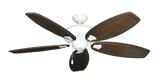 raindace