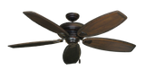raindace