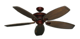 raindace