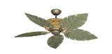 raindace