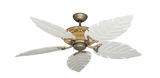 raindace