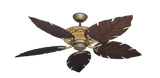 raindace
