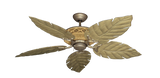 raindace