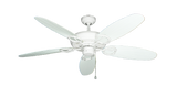 raindace