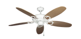 raindace
