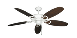 raindace