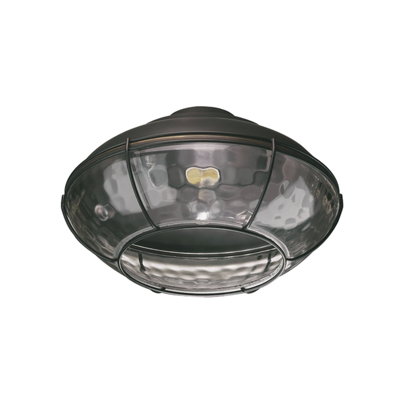 Quorum Hudson 10 inch Ceiling Fan Light Kit - Wet Rated Old World